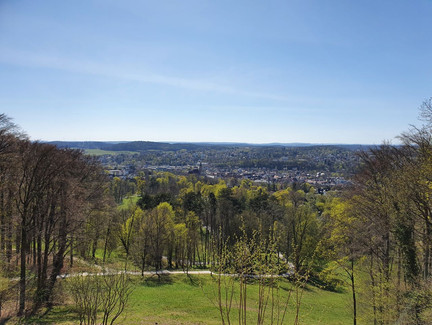 Blick von der Veste über den Hofgarten auf die Stadt