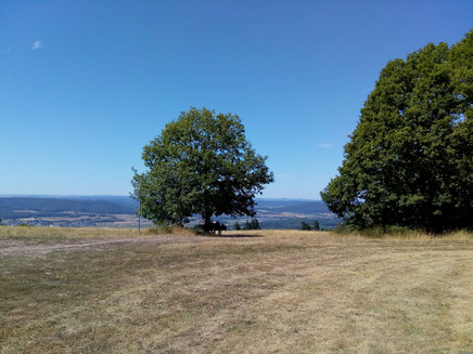 Eifelblick am Panorama Wanderweg Piesport