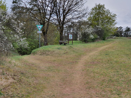 Links abbiegend verläuft der Trail durch den Grüberstein