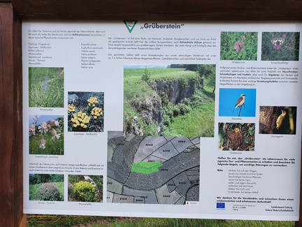 Wissenswertes über den Grüberstein