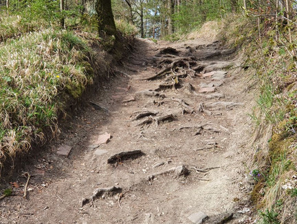 Oberhalb des Sportplatzes des SV Ketschendorf beginnt ein schöner Trail