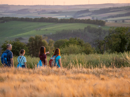 Durch das offene Feld