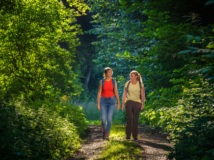 Auf weichen Waldböden unterwegs