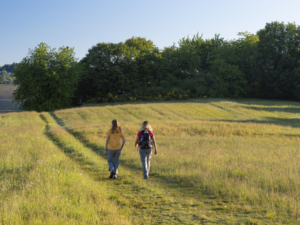 Kruterberg Blick auf Saarburg (08)