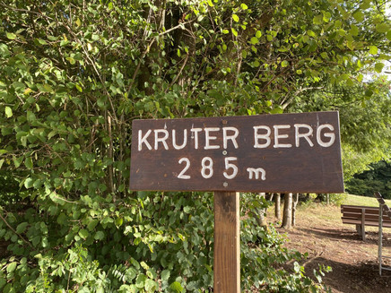 Kruterberg Blick auf Saarburg (09)