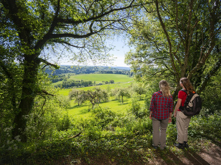 Viewpoint valley view (01)