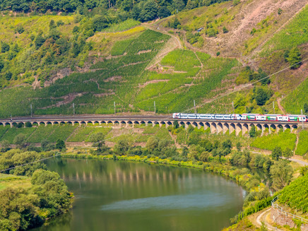 View of the Pünderich hillside viaduct