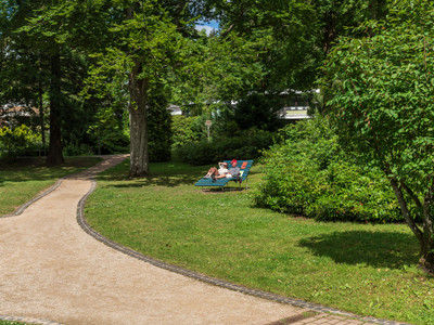 At the roadside, you can relax on the meadow