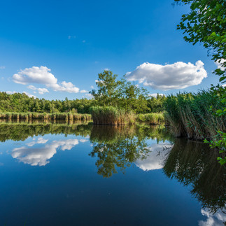 Oberer Kranichteich in Bad Sachsa