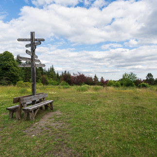 Blick vom Stöberhai