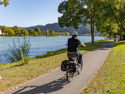 Moselradweg im Zeller Land