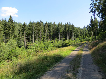 Wanderweg