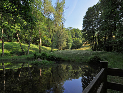 Rundwanderweg Sonneberg | Froschteich