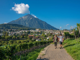 Spiez Rebberg Wanderweg Rundweg Niesen