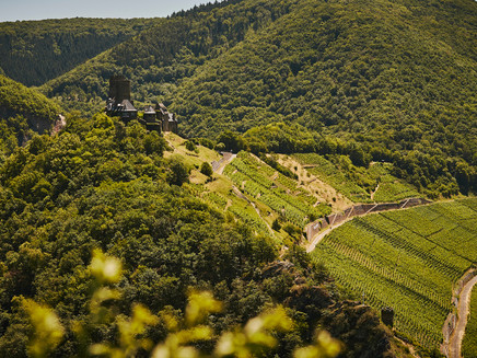 Burg Thurant