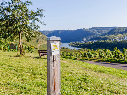 Trail marking Moselsteig on stage 13 from Reil to Zell