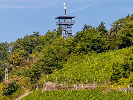 View of the Prinzenkopfturm near Zell