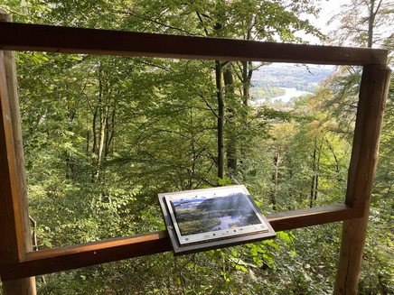 Aussicht Saarmündung (03)