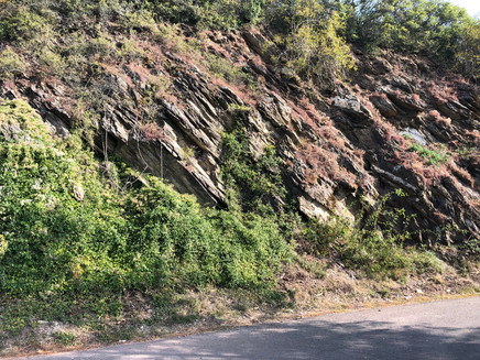 Unterwegs auf dem Pissamann-Weinlehrpfad