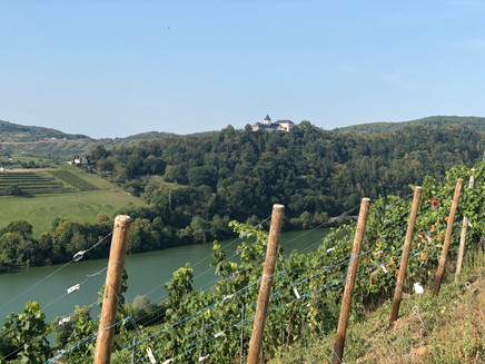 Blick auf die Marienburg