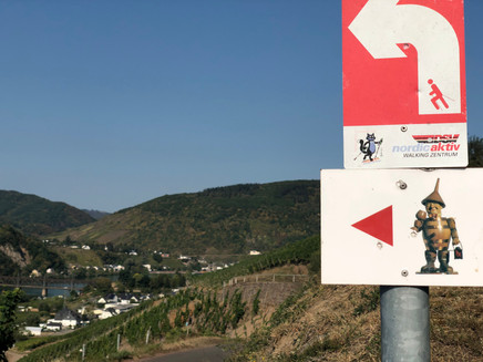 Beschilderung Pissmann-Weinlehrpfad Zell-Merl