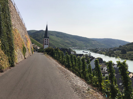 Pissmann-Weinlehrpfad in Richtung Friedhof Zell-Merl