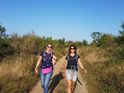 On the Pissamann circular route