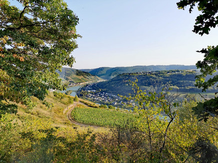 Pissamann circular route with view of Zell-Kaimt