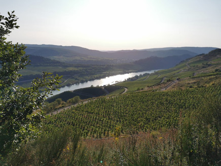 Pissamann circular route in the Zeller Land