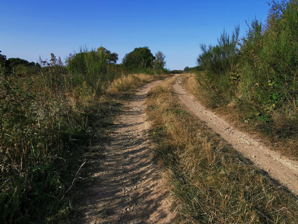 Pissamann circular hiking route in Zeller Land