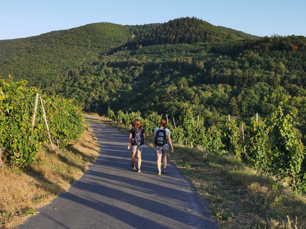 PIssamann circular route in Zell (Mosel)