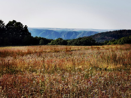High up on the Pissamann circular route in the Zeller Land