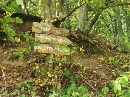 On the way on the Pissamann circular route in Zell (Mosel)
