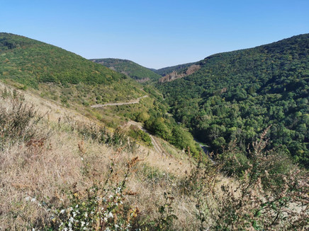 Pissamann circular route high above Zell-Merl