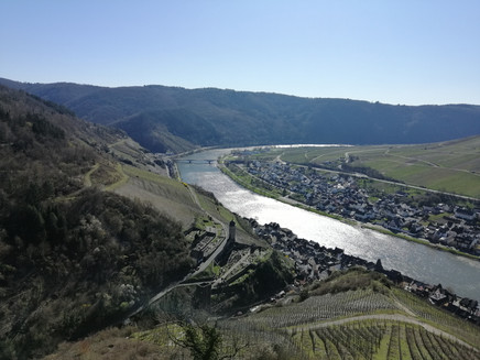 On the Collis via ferrata in Zell (Mosel)