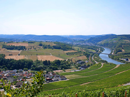 View over the Saar Valley