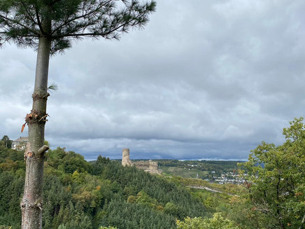 Ausblick auf die Burg Landshut vom Jodlerplatz