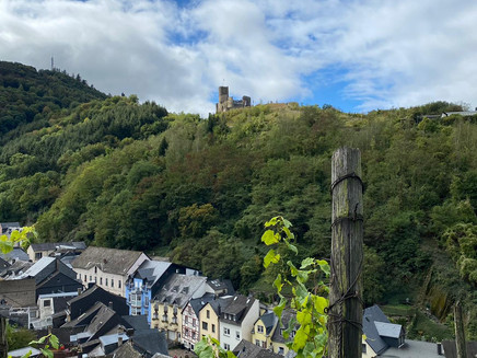 Altstadt-Blick mit Aussicht auf die Burg Landshut