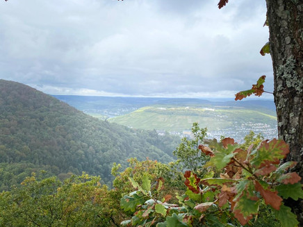 Weitsichten entlang der Strecke