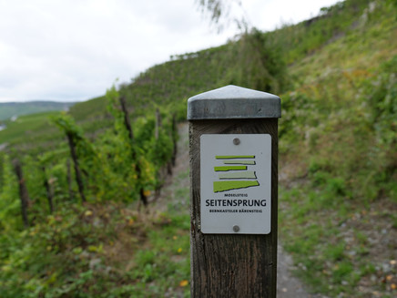 Beschilderung entlang der Strecke