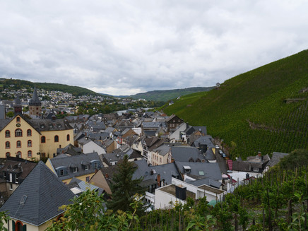 Aublick über die Altstadt und den Doctorberg