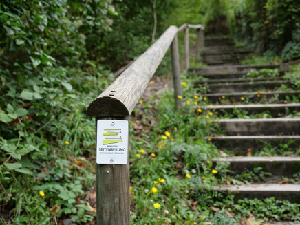 Unterwegs auf dem Moselsteig Seitensprung