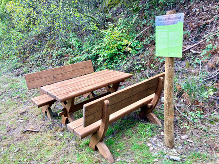 Ruhebänke & Informationstafel in der Millionenkehr