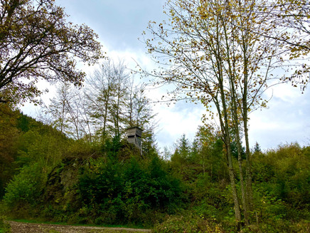 Entlang des Misselbachtals