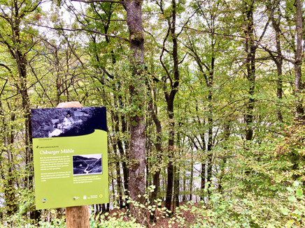 Der ehemalige Standort der Osburger Mühle in der heutigen Talsperre
