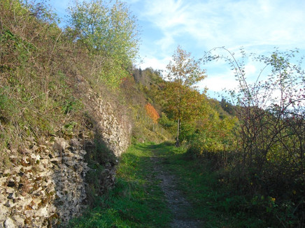 Biotop Trockenmauer