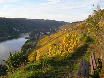 Herbstliche Stimmung
