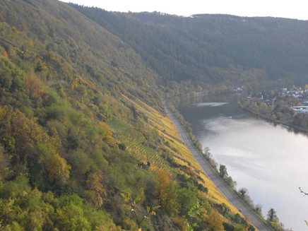 im Herbst