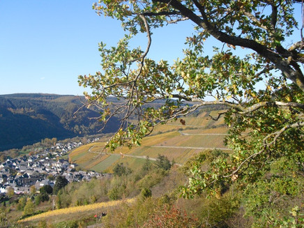 Herbstliche Aussicht vom Rottenblick
