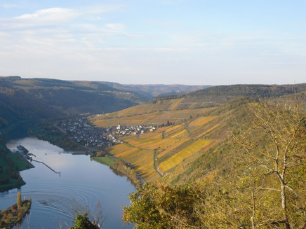 Herbstlicher Blick von Starkenburg auf Enkirch